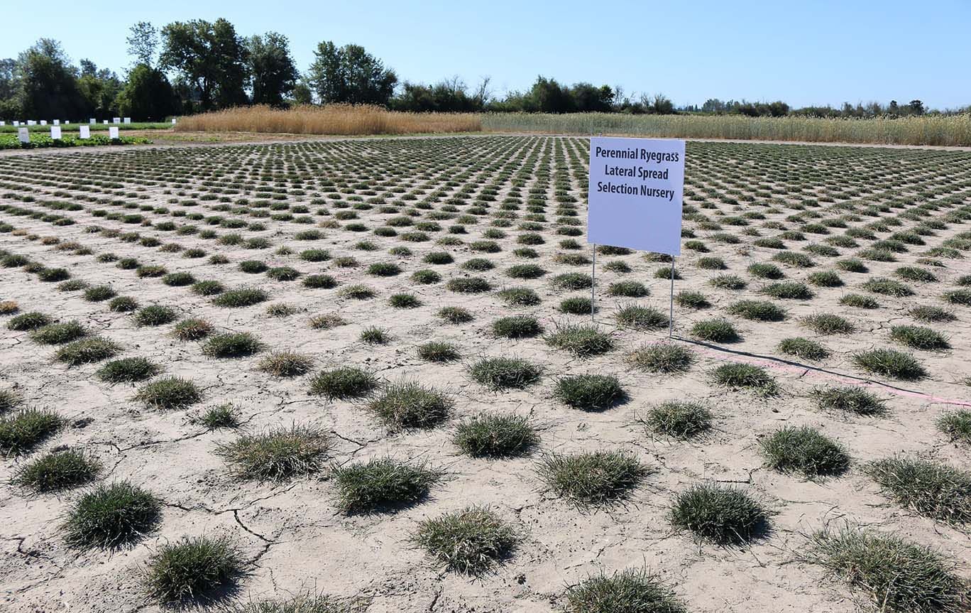 A-List Research Field